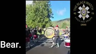 Black Watch Association Pipes and Drums - Aberfeldy Muster 2025