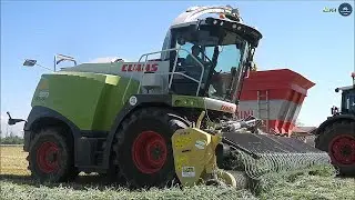 Claas Jaguar 980 (497) + nuovo Idass Easy-Way 50 - Gruppo PEA - Trinciato loietto 2024
