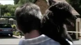 Diva the PSYCHIC finds missing Sarah- a dog lover's worst nightmare, no food, no water.mp4