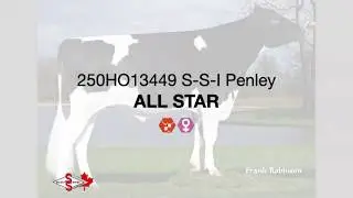 ALL STAR_ENG