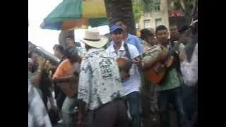 Parque Berrio_ De Parranda con el Ratón.AVI