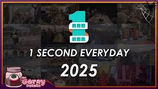 1 Second Everyday - 2025 - The Gorey Details