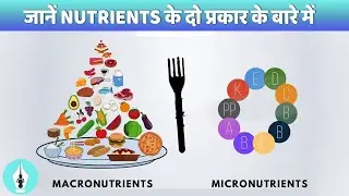 Macro vs Micro  Nutrients Explained in Hindi || पोषण के प्रकार || Nutrients || Function