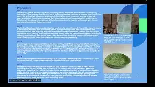 ARE6148: Angel Elza Contemporary Art Lesson Plan: Exploring Self Through Surface Design