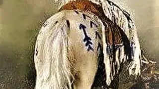 Native American Myths and Legends with David Null