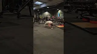 Reaction in gym #calisthenics #reaction #viral #workout