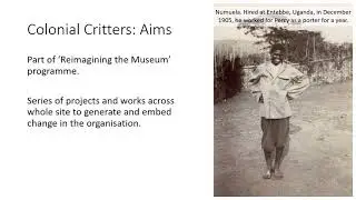 Colonial Critters: Decolonising the Powell-Cotton Museum