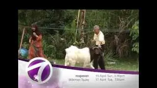 Magseven - Milkman 