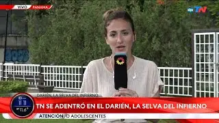TN en el corazón del Darién, la selva del infierno: la recorrida de las trochas, desde adentro