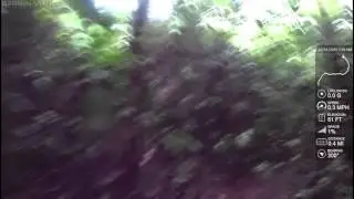 Trail Failures 1