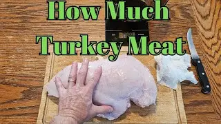 Meat From A 42 lbs LIVE Weight Turkey | Broad Breasted Bronze Turkey | #homestead #turkey #meat
