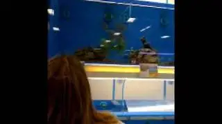 Mitch Bergsma and funny fish