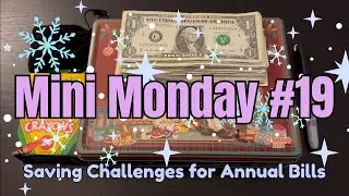 Mini Monday #19 | $30 Savings Challenge | 4th Week of January