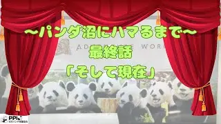 私とパンダ　最終話「そして現在」