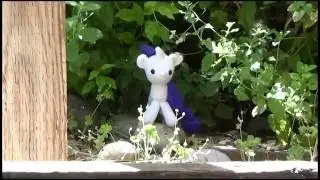 Ponies in the Garden