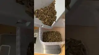 How to Sieve, Harvest, Sort, and Feed Black Soldier Fly Larvae