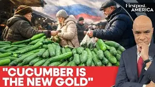 Cucumber And Food Prices Skyrocket In Russia Amid War With Ukraine: Reports | Firstpost America