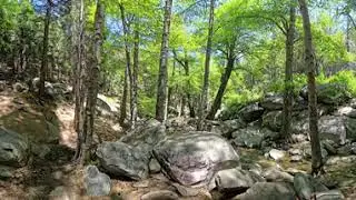 Heart Rock Trail #360video