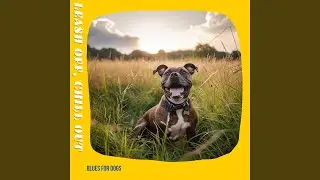 Pet Care Therapy