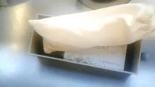 Ant colony inside EyeBuyDirect package