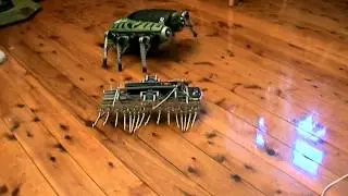 A Gakken Mechamo Centipede has a nasty encounter with a Tyco N.S.E.C.T. Robotic Attack Creature