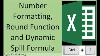 M365 Excel Basics Video 3: Number Formatting, Round Function and Dynamic Spilled Array Formula