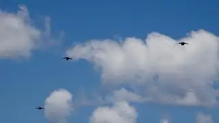3 C-17A Globemaster III&rsquo;s in a Formation Flight on the Sunshine Coast | POV | #bensaviation