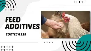 POULTRY 1 | Poultry Nutrition: Feed Additives | Module 20.5 (Student Output)