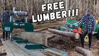 Milling lumber with the Woodland Mills HM122  to build a cabin! FREE LUMBER!!