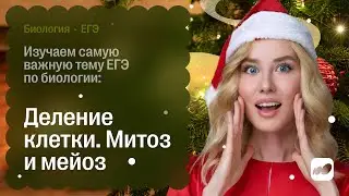 Изучаем самую важную тему ЕГЭ по биологии: деление клетки. Митоз и мейоз | СОТКА 2026