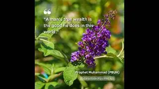 Top Islamic quotes of 2025! #dailyquotes #changeyourmindsetchangeyourlife #motivation