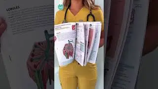 Welcome to the Anatomy & Physiology Navigator  🧭