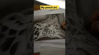 pencil drawing of Giraffe.