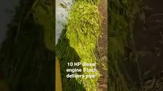 10 HP diesel engine water could 5 inch delivery pipe