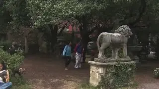 Elizabeth Street Garden will stay open after eviction battle: Mayor