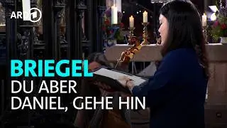 Wolfgang Carl Briegel: 
