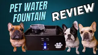 Kastty Pet water Fountain Review