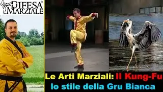 Le Arti Marziali: Il Kung-Fu  - lo stile della Gru bianca