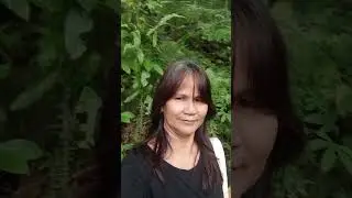 1hr walking at bulusan lake