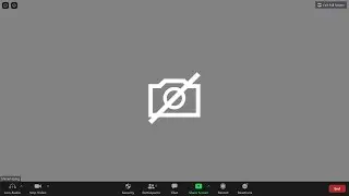 Как исправить проблемы с работой Zoom Camera (веб-камеры) в Windows 10