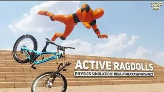 cycle ragdoll active ragdolls👍