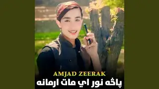 پاڅه نور اي مات ارمانه