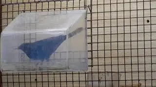 DSCN1637