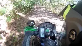 Roan Mt