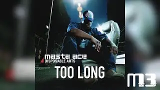 Masta Ace - Too Long (Disposable Arts)
