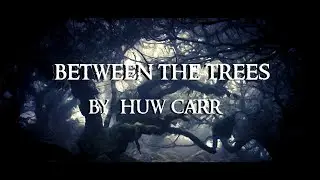 Scary Stories - BETWEEN THE TREES By Huw Carr