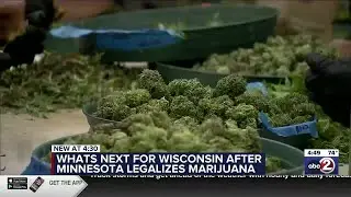 INTERVIEW: When will weed be legal in Wisconsin?