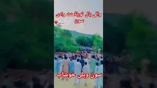 wali bal tournament wadi soon zaila khushab#tornament #waliball #khushab #shortvideo #viralvideos