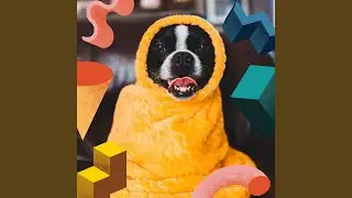 Delightful Moods for Separation from Dogs