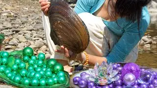 🫣💎 From Mud to Majesty: The Giant Clam’s Pearl Palace and the Girl Who Cracked Its Code!
